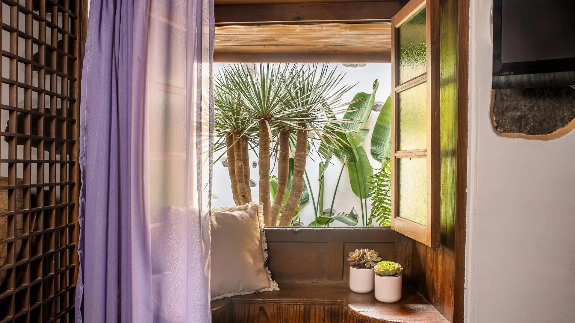 Apartment Tulia Guesthouse & Coworking Los Realejos Spain