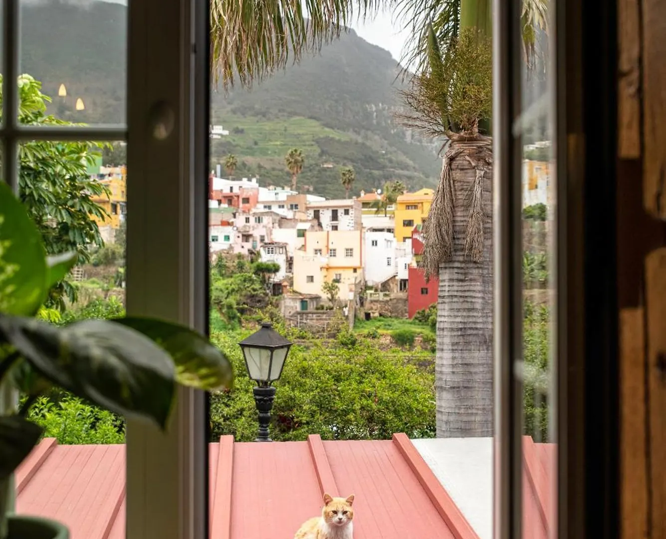 Tulia Guesthouse & Coworking Los Realejos Apartment